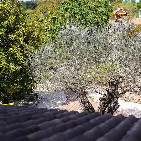 Casa Rustica Dva Baladura Kanfanar