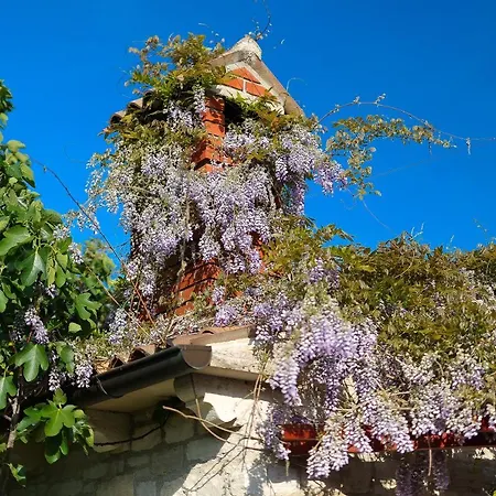 Casa Rustica Dva Baladura Lägenhet *
