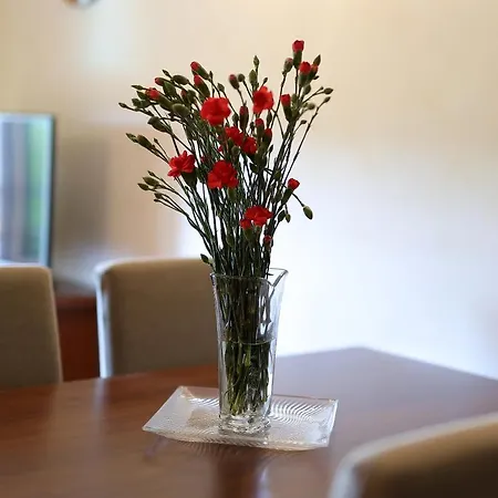 Casa Rustica Dva Baladura