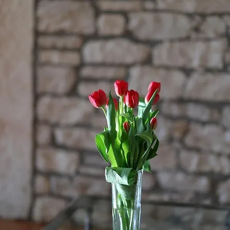 Casa Rustica Dva Baladura Apartment